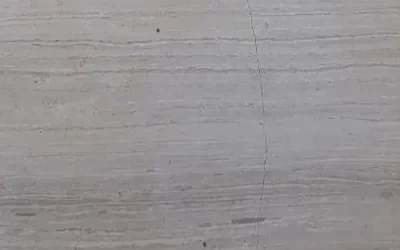 Limestone Wood White